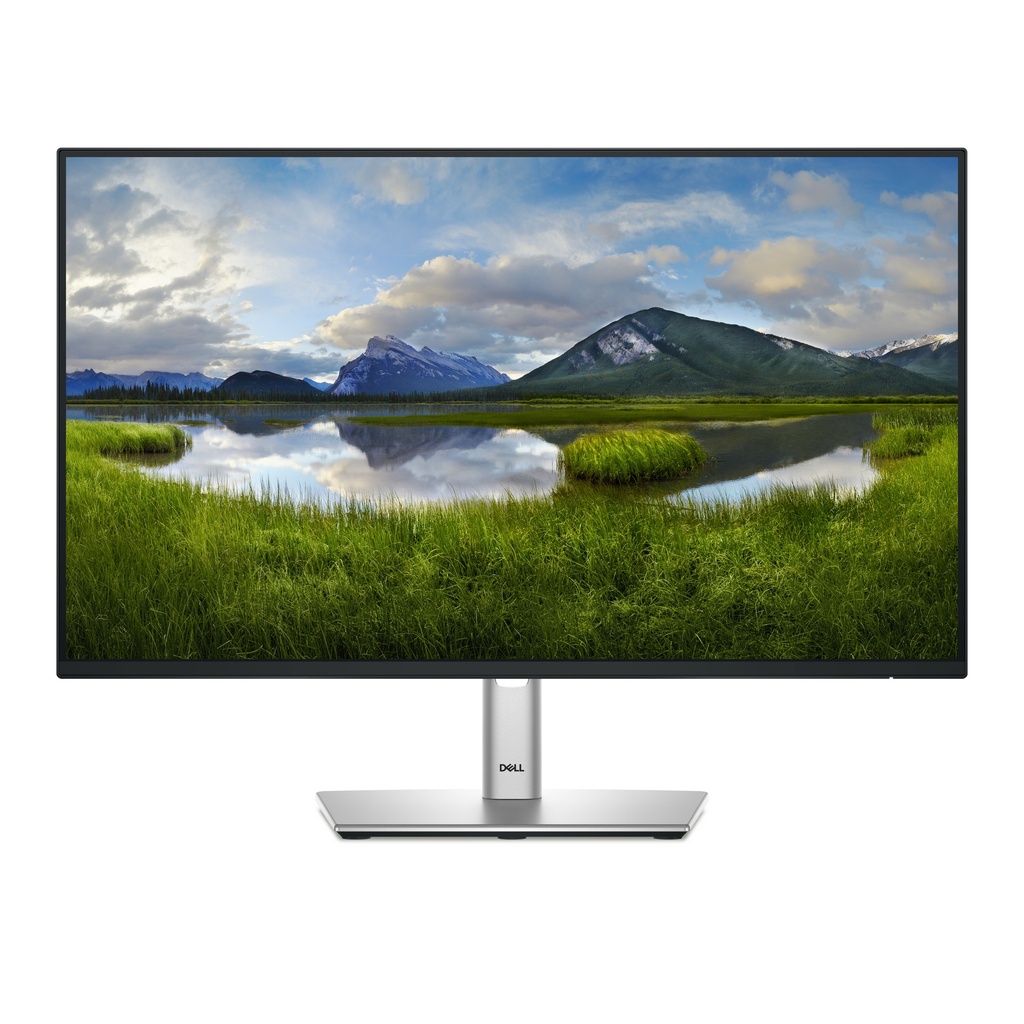 Monitor DELL P2425H - 23.8 pulgadas, 250 cd / m², 1920 x 1080 Pixeles, 8 ms